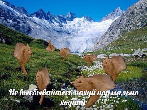 a у нахуй нормально or a”