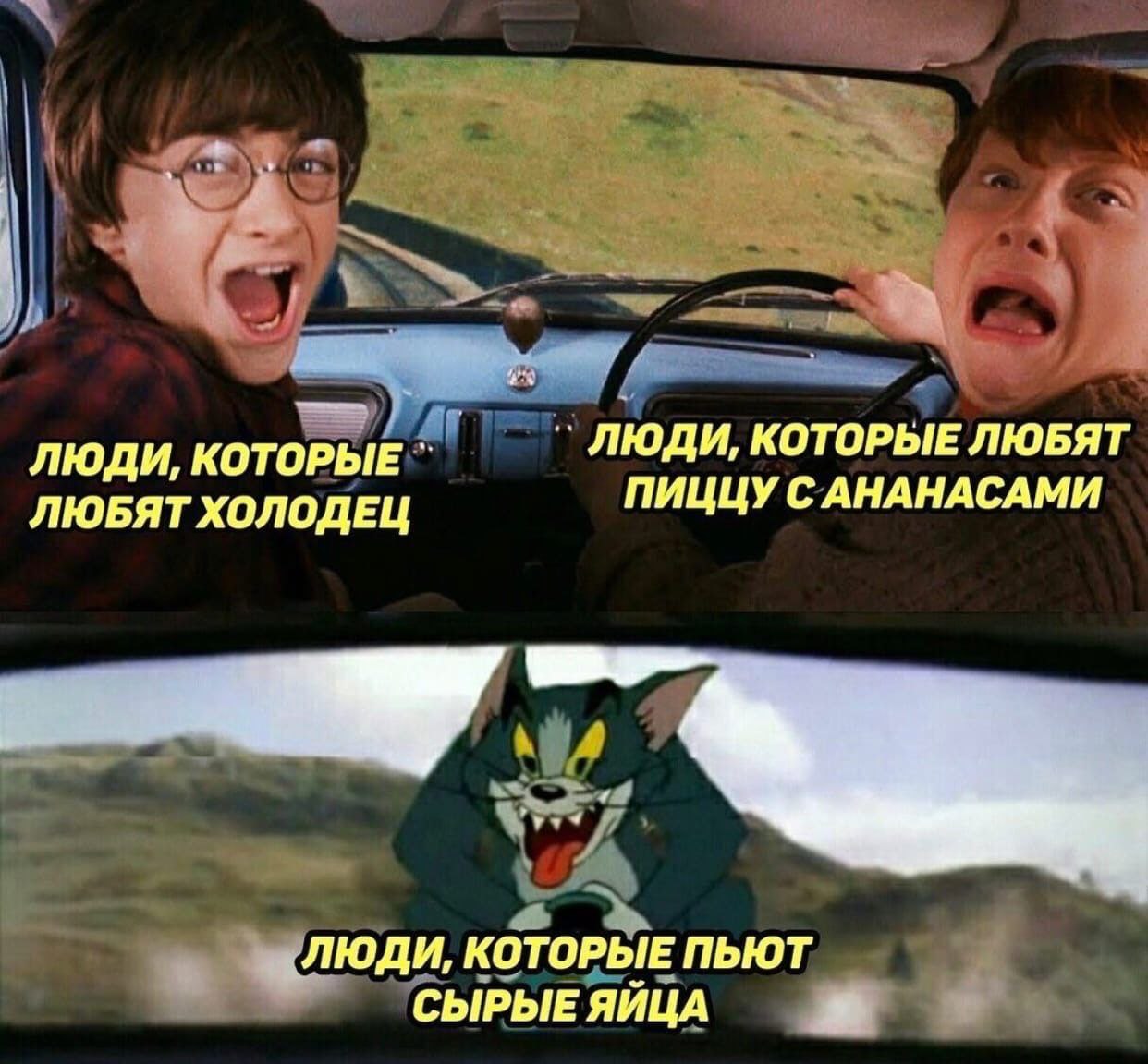 ЛЮДИ, КОТОРЫЕ ЛЮДИ, КОТОРЫЕ ЛЮБЯТ ЛЮБЯТ ХОЛОДЕЦ ПИЦЦУ С АНАНАСАМИ ЛЮДИ, КОТОРЫЕ ПЬЮТ СЫРЫЕ ЯЙЦА