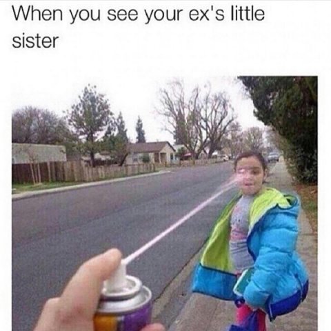 When you see your ex's little sister У