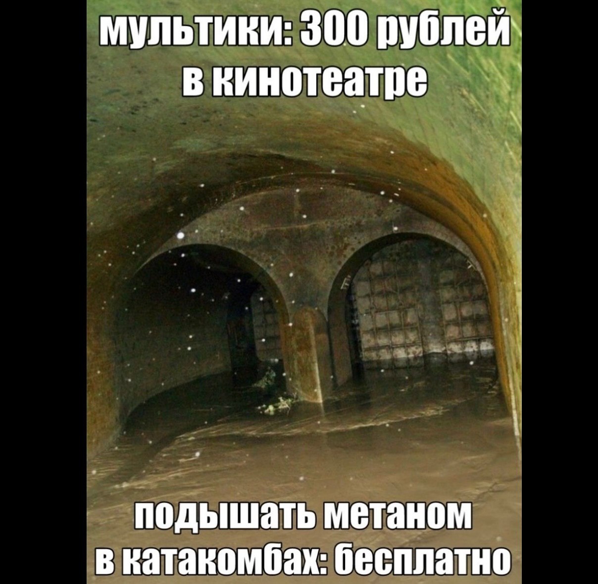 мультики: 300 рублей в кинотеатре подышать метаном в катакомбах: бесплатно