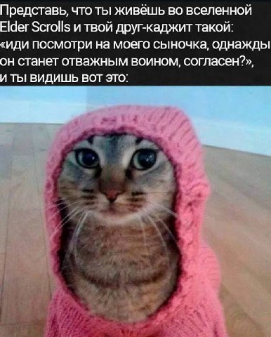 Представь, что ты живёшь во вселенной Elder Scrolls и твой друг-каджит такой: «иди посмотри на моего сыночка, однажды он станет отважным воином, согласен?», И ТЫ ВИДИШЬ ВОТ ЭТО: