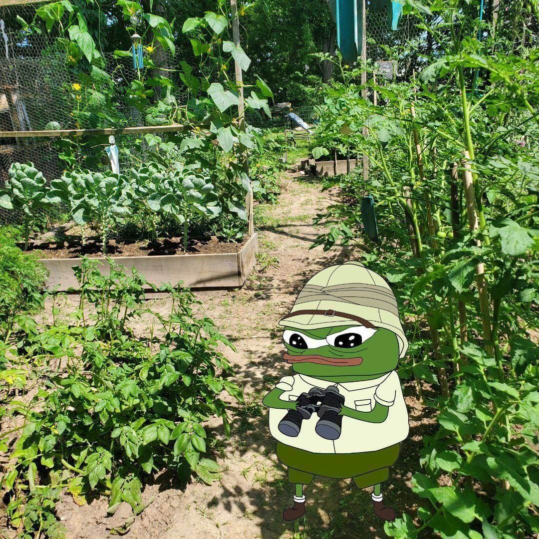 i in 4 у yen