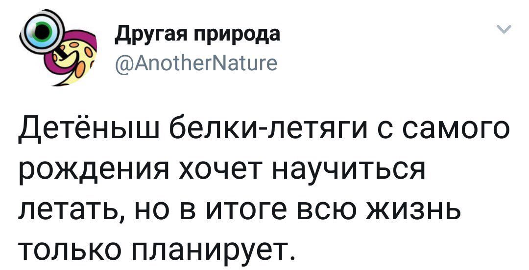 Другая природа @AnotherNature Детёныш белки-летяги с самого рождения хочет научиться летать, но в итоге всю жизнь только планирует.
