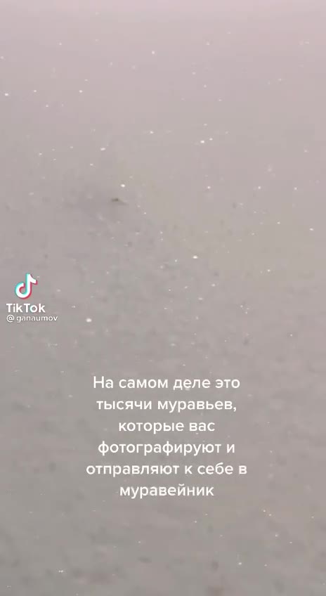 ” A вы никогда не al задумывались, почему снег так На самом деле это __ тысячи муравьев, которые вас фотографируют и = отправляют к себе в муравейник < _ которые ва