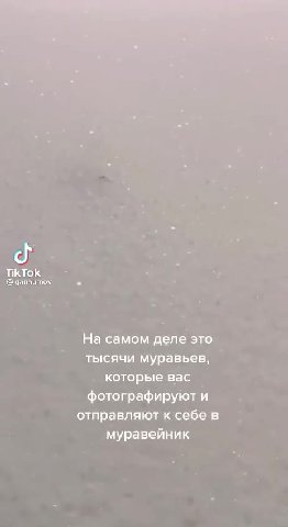 ” A вы никогда не al задумывались, почему снег так На самом деле это __ тысячи муравьев, которые вас фотографируют и = отправляют к себе в муравейник < _ которые ва