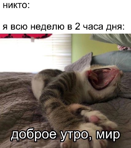НИКТО: я всю неделю в часа дня доброе мир