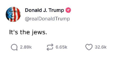 Donald Trump @realDonald Trump It's the jews. 6.65К