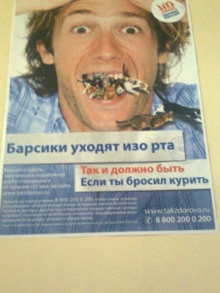 Барсики уходят изо рта Таки должно быть Если ты бросил курить 8800 200 0 200