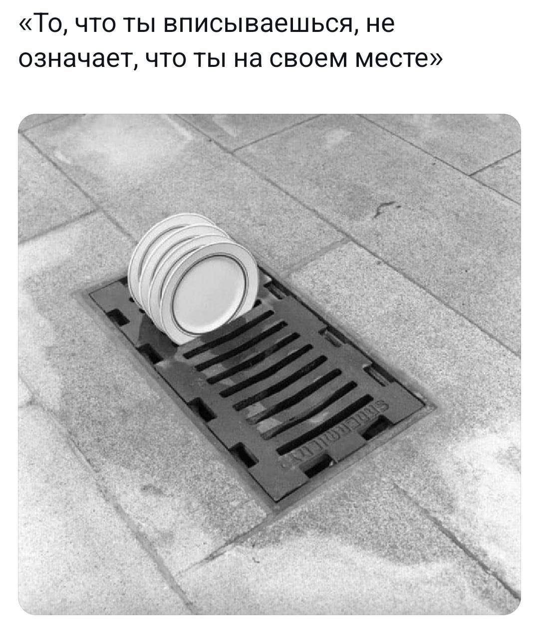 «То, что ты вписываешься, не означает, что ты на своем месте»