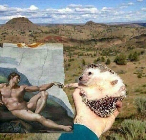 or