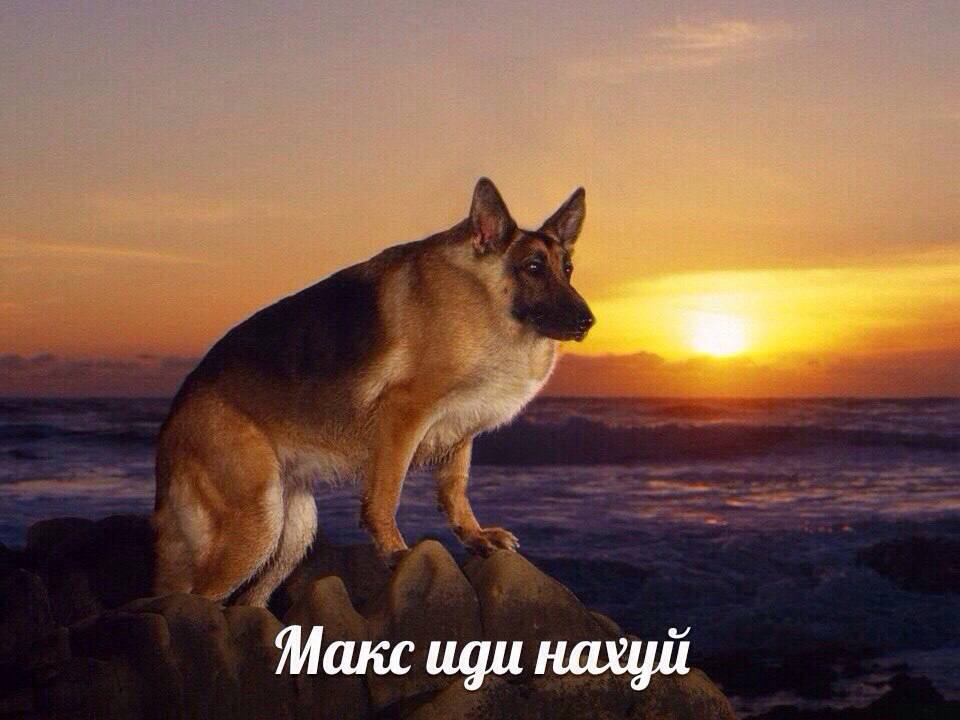 мне кажется сегодня хороший день чтобы вспомнить классику

#думайте