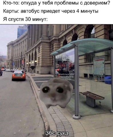 Кто-то: откуда у тебя проблемы с доверием? Карты: автобус приедет через 4 минуты Я спустя 30 минут: Збс сука