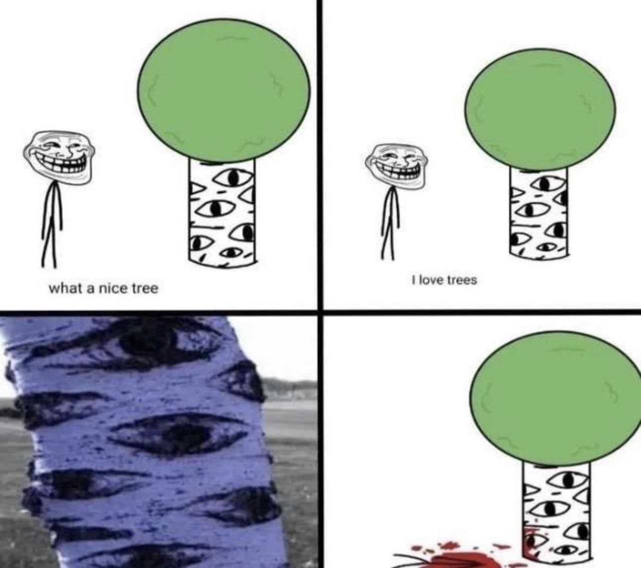 what a nice tree love trees 4 a