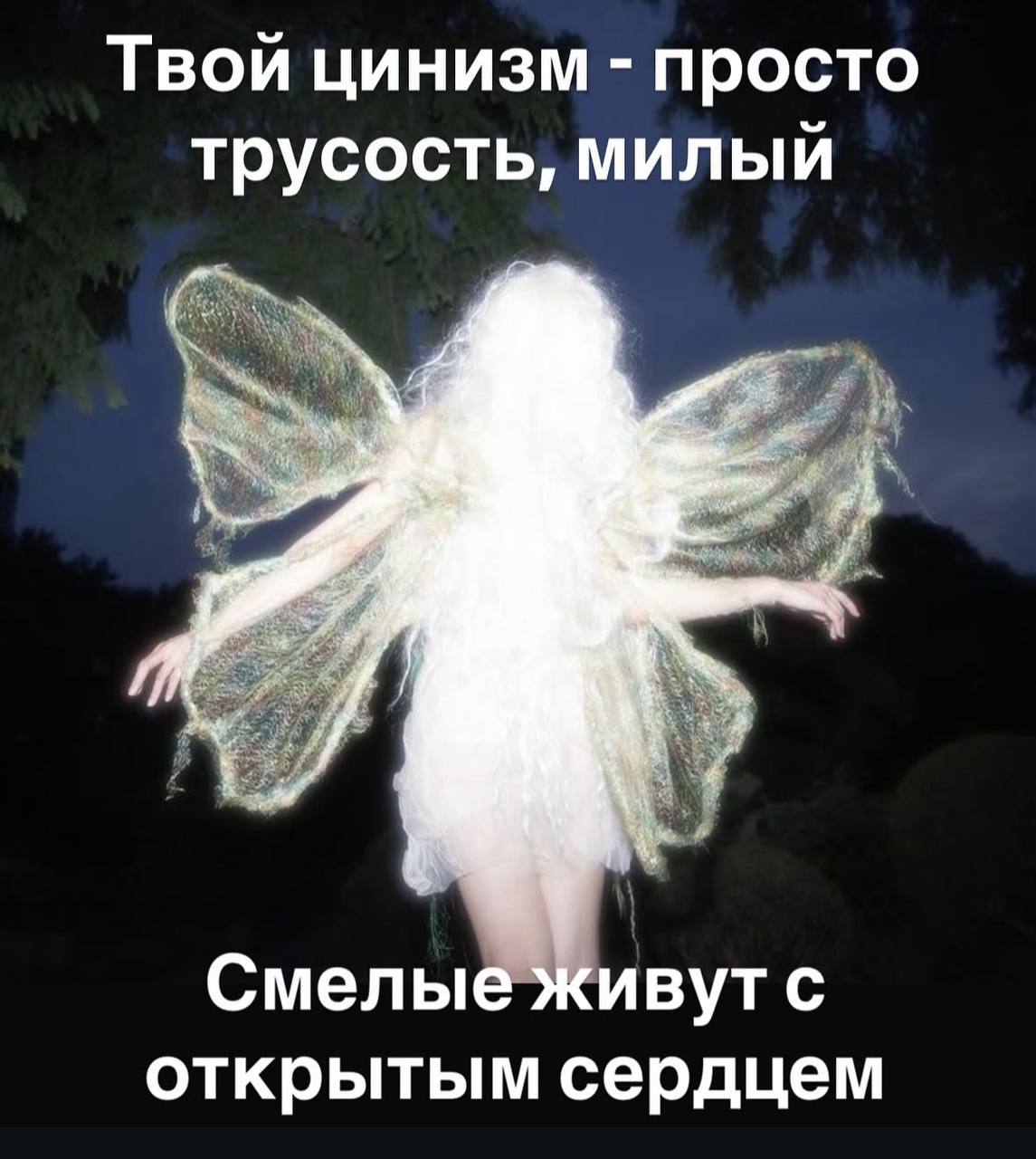 Твой цинизм просто трусость, милый Смелые живутс открытым сердцем