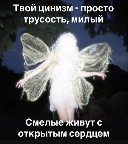 Твой цинизм просто трусость, милый Смелые живутс открытым сердцем