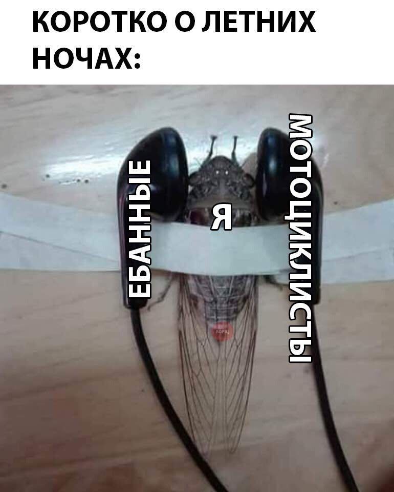КОРОТКО О ЛЕТНИХ НОЧАХ: