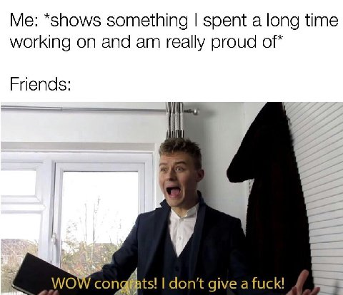 *shows something spent а long time working on and really proud of* Friends: WOW con don't give a fuck!