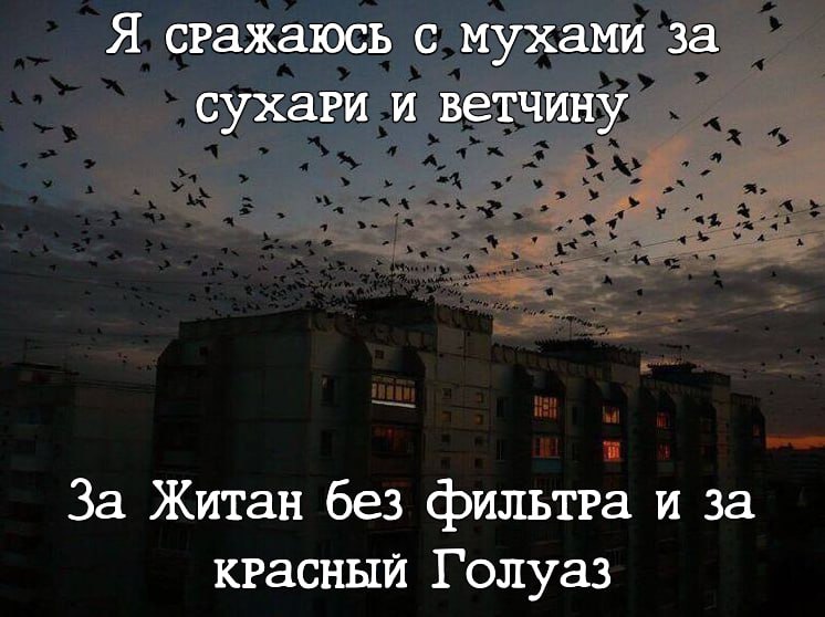 Я с мухами за сухари и ветчину За Житан без фильтра и за Голуаз