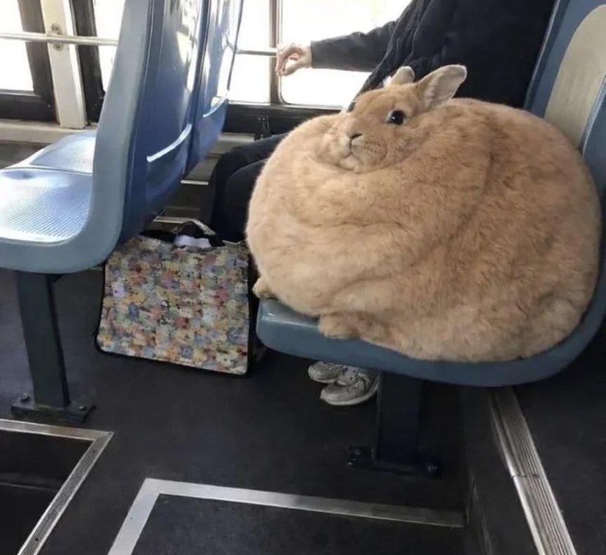 А
