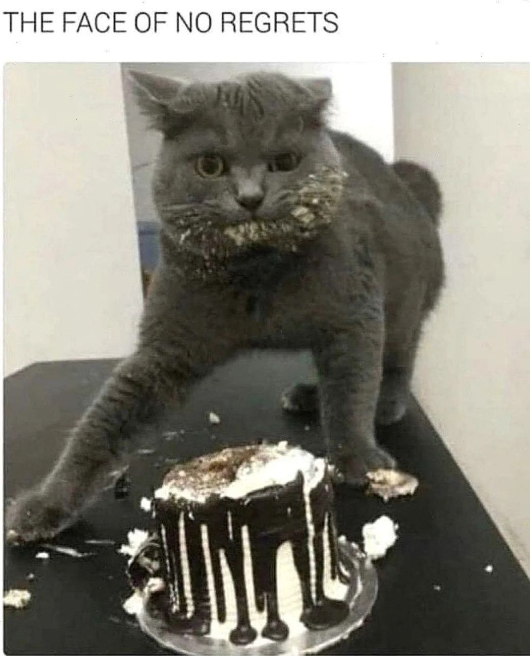 THE FACE OF NO REGRETS Says К