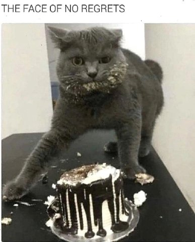 THE FACE OF NO REGRETS Says К