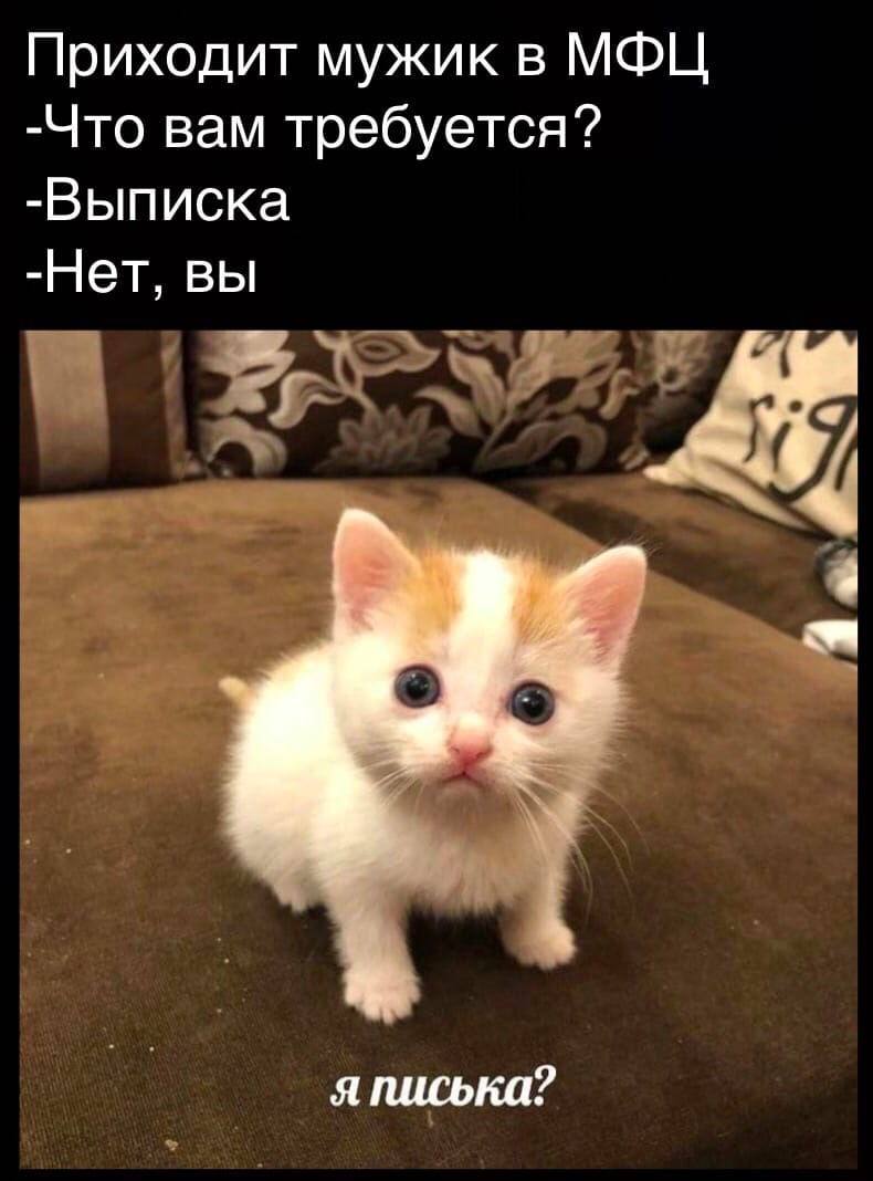 Приходит мужик в МФЦ -Что вам требуется? -Выписка -Нет, вы о я писька?