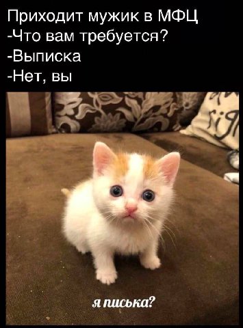 Приходит мужик в МФЦ -Что вам требуется? -Выписка -Нет, вы о я писька?