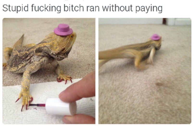 Stupid fucking bitch ran