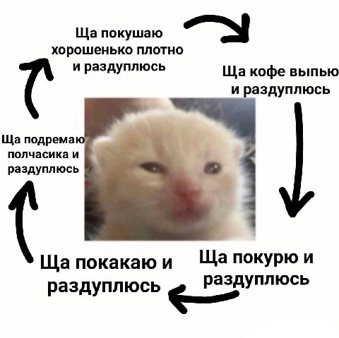 покушаю хорошенько плотно и раздуплюсь кофе выпью и раздуплюсь подремаю полчасика и раздуплюсь покурю и покакаю и раздуплюсь аздуплюсь