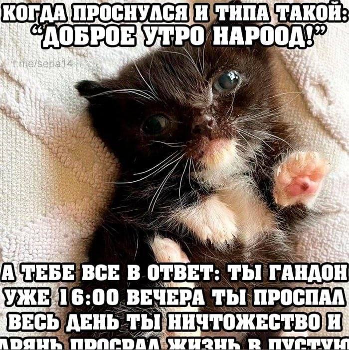 5) Vip A ТЕБЕ ВСЕ В ОТВЕТ: ГАНДОН ВЕЧЕРА ТЫ. ПРОСПАЛ ВЕСЬ, ДЕНЬ. ты НИЧТОЖЕСТВО А