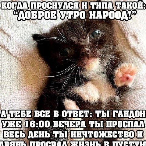 5) Vip A ТЕБЕ ВСЕ В ОТВЕТ: ГАНДОН ВЕЧЕРА ТЫ. ПРОСПАЛ ВЕСЬ, ДЕНЬ. ты НИЧТОЖЕСТВО А