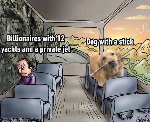 Billionaires with’ 12:: Dog with stick yachts and a private и
