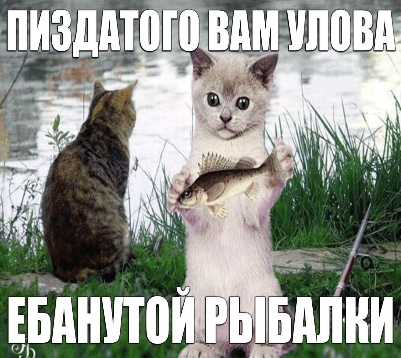 В ПИЗДАТОГО 3 “a AN i