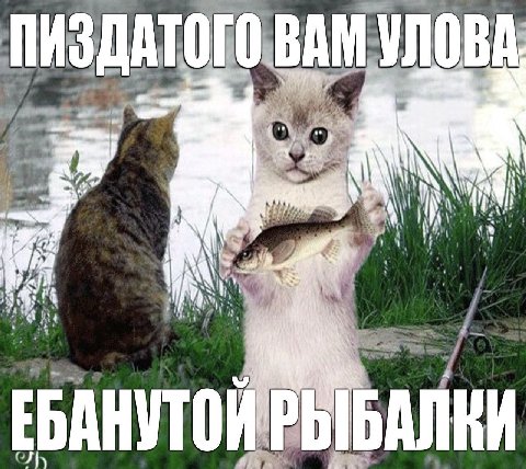 В ПИЗДАТОГО 3 “a AN i