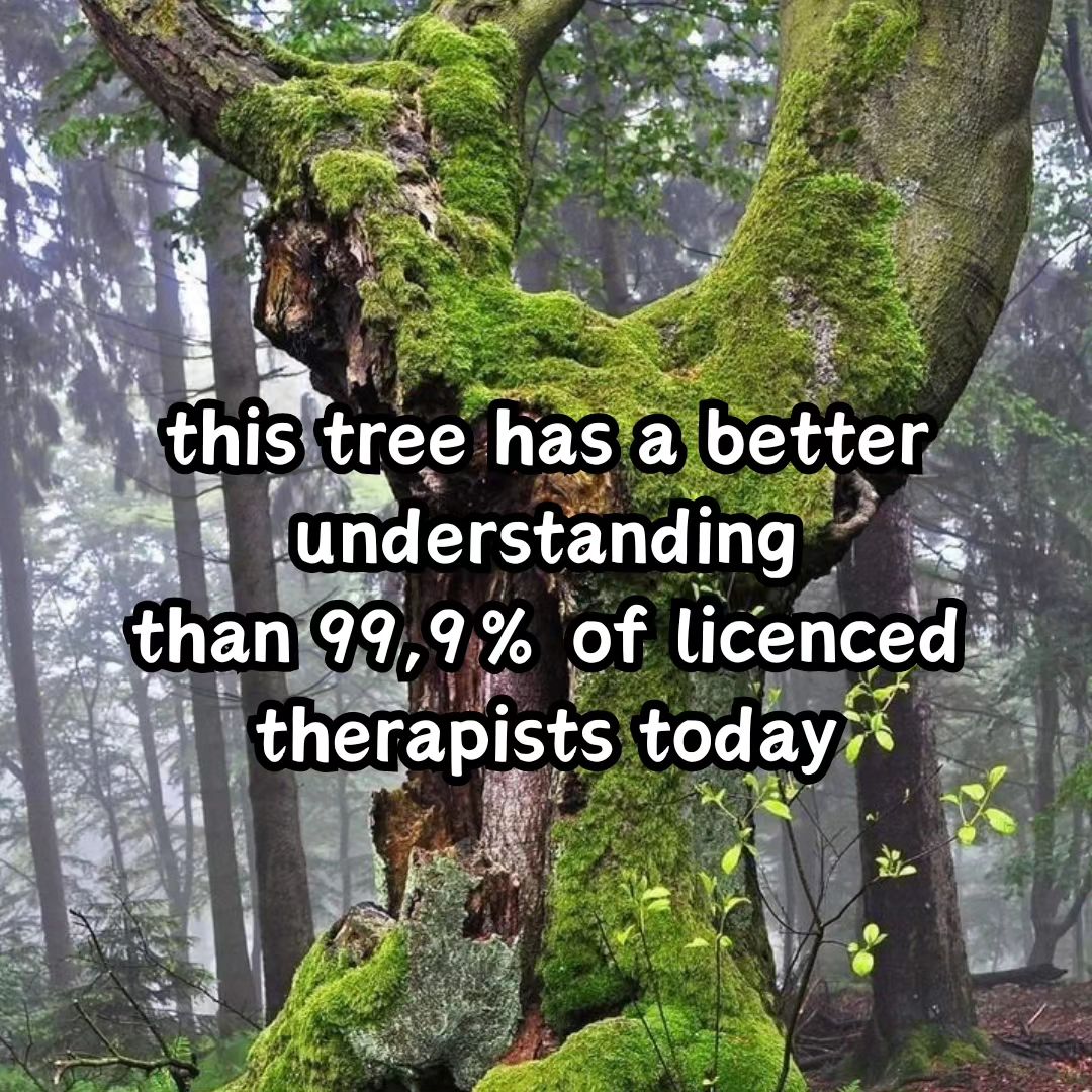 1 tree has a better ‘understanding 99, 9% of licenced therapists