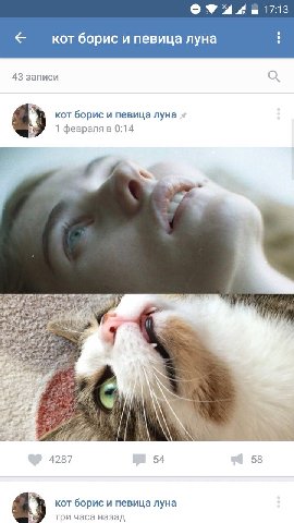 A 17:13 кот борис и певица луна 43 записи кот борис и певица луна 1 1 февраля в 0:14 4 4 у 4287 54 58 Kort борис и певица луна три часа назад