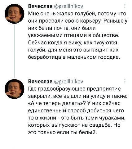 Вячеслав @¢relllnikov Мне очень жалко голубей, потому что они просрали свою карьеру. Раньшеу них была почта, они были уважаемыми птицами в обществе Сейчас когда я вижу, как тусуются голуби, для меня э