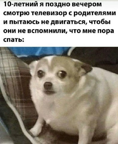 10-летний я поздно вечером смотрю телевизор с родителями и пытаюсь не двигаться, чтобы они не вспомнили, что мне пора спать: a