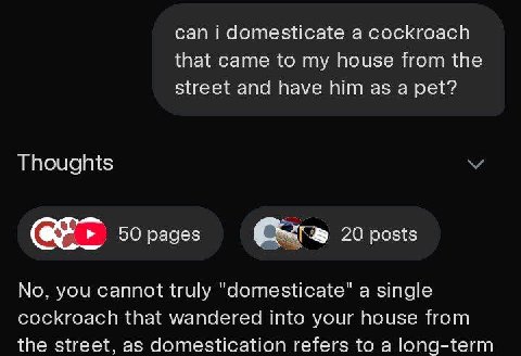 can domesticate а сосКгоасй that came to my house from the street and have him as a pet? Thoughts 50 pages 20 posts you cannot truly "domesticate" a single cockroach that wandered into your house from