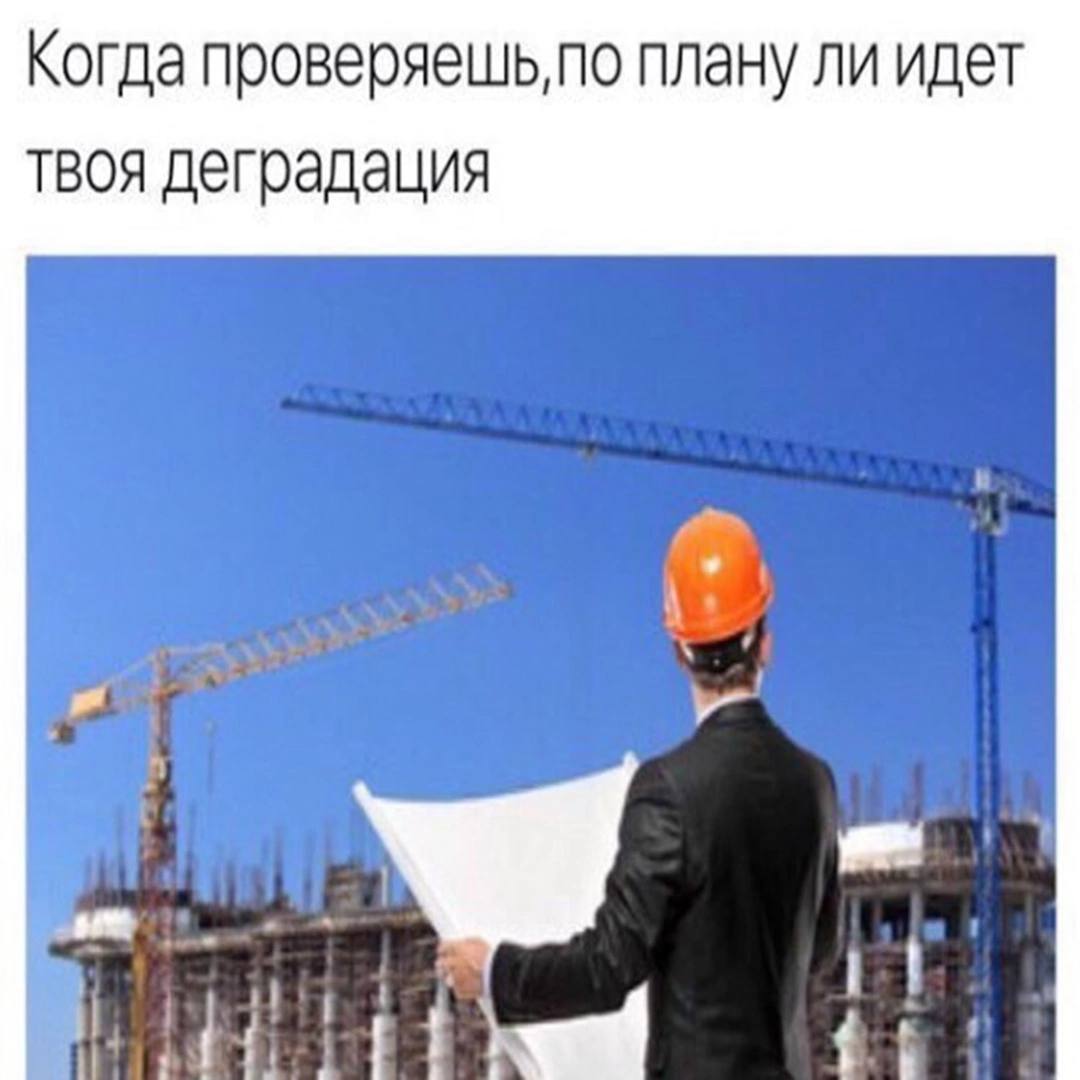 Когда проверяешь,по плану ли идет твоя деградация