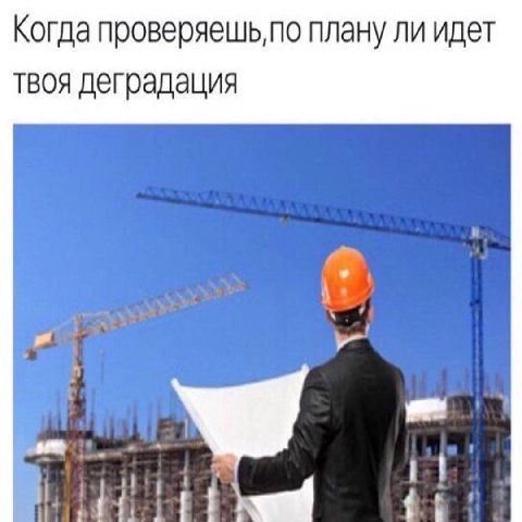 Когда проверяешь,по плану ли идет твоя деградация