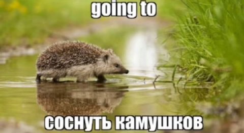 Увидел миску с разноцветными конфетами у бабушки