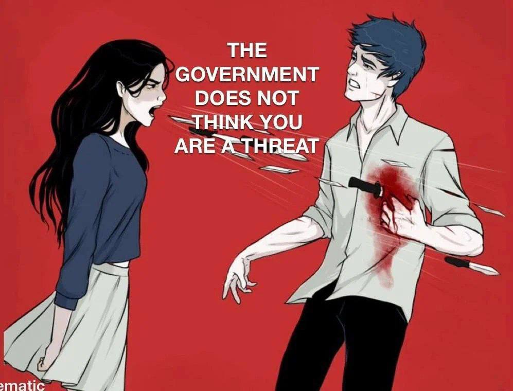 ТНЕ GOVERNMENT DOES МОТ YOU ARE matic