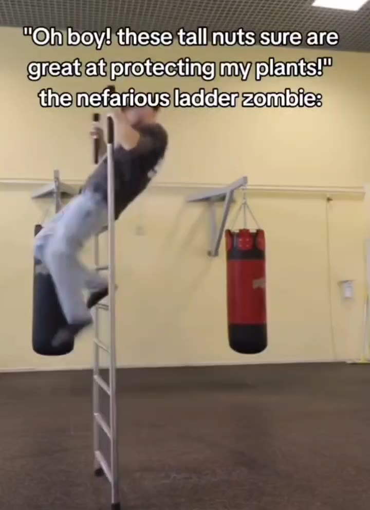 кОНБоу'пезеха! nuts sure are greatiatiprotectingimy/plants!m |. ithejnefarious|laddegzombie: igreatiat/protectingimyplants!s ithe|nefarious|laddenzombie;