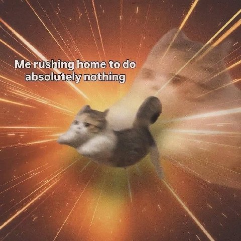 Me rushing home to absolutely nothing