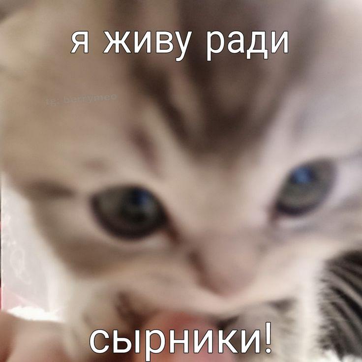 я живу ради сырники!