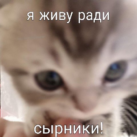 я живу ради сырники!