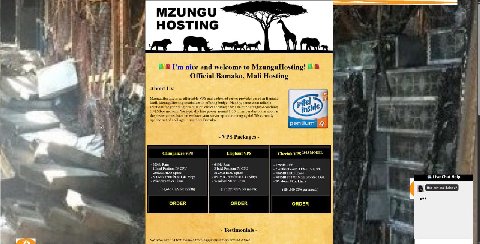 https://mzunguhosting.ml/