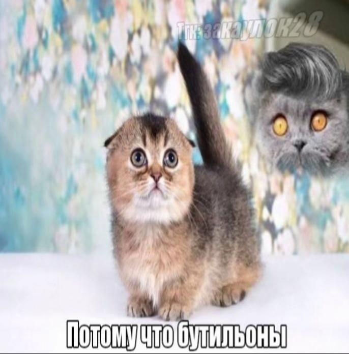 у