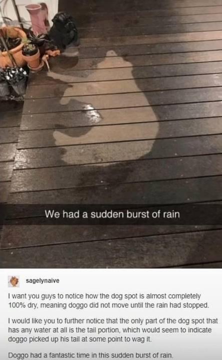 28 We had a sudden burst of rain sagelynaive want you guys to notice how the dog spoi is completely 100% dry, meaning 40990 did not move until the rain had stopped. would like you to further notice th